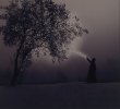 Joan FONTCUBERTA Miracle de la cryofloribondité, de la série Miracles, (…)